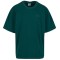 Karl Kani Signature Washed T-shirt Green
