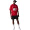 NEW ERA Chicago Bulls NBA Graphic Mesh Red