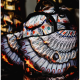 SPRAYGROUND SCORCHING MONEY FEATHERS BACKPACK Πολύχρωμο