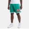 Mitchell & Ness NBA Overtime Win Mesh Mens Short