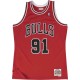 Mitchell & NessChicago Bulls Jersey Style Basketball Dennis Rodman