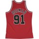 Mitchell & NessChicago Bulls Jersey Style Basketball Dennis Rodman
