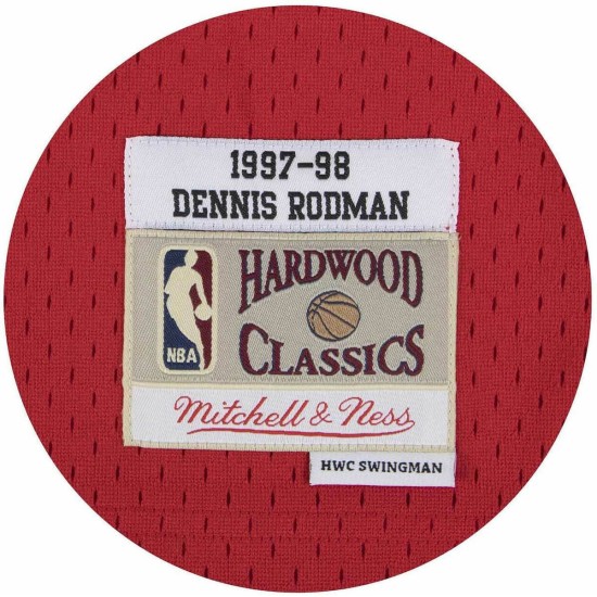 Mitchell & NessChicago Bulls Jersey Style Basketball Dennis Rodman