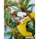 Sprayground Create Another Day Crossbody Savvy Bag Τσαντάκι Sprayground Create Another Day Crossbody Savvy Bag Τσαντάκι