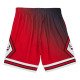 Golden Hour Glaze Swingman Short Chicago Bulls Golden Hour Glaze Swingman Short Chicago Bulls