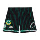 City Collection Mesh Shorts Boston Celtics