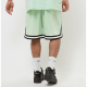 KARL KANI Small Signature Mesh Shorts Πράσινο KARL KANI Small Signature Mesh Shorts Πράσινο