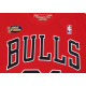 Mitchell & Ness Dennis Rodman 91 Chicago Bulls NBA Name & Number Tee Red T-Shirt