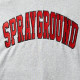 Sprayground Varsity EMB Hoodie Pullover - Γκρί